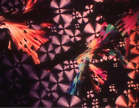 Screenshot from Jean Painleve's  "Liquid Crystals"